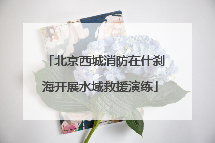 北京西城消防在什刹海开展水域救援演练