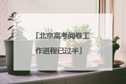 北京高考阅卷工作进程已过半