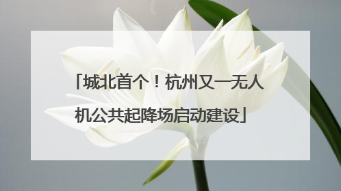 城北首个！杭州又一无人机公共起降场启动建设
