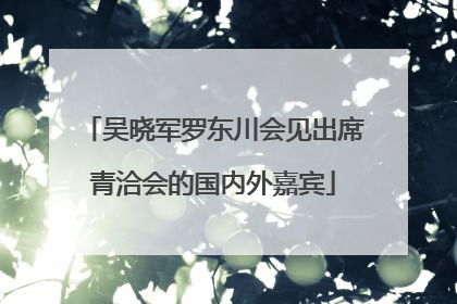 吴晓军罗东川会见出席青洽会的国内外嘉宾