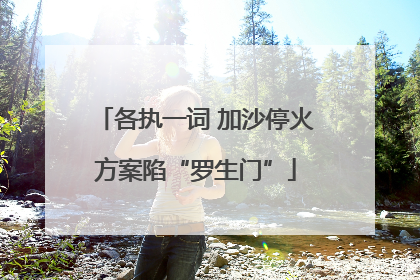 各执一词 加沙停火方案陷“罗生门”