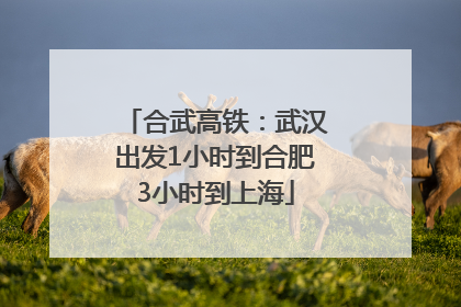 合武高铁：武汉出发1小时到合肥3小时到上海