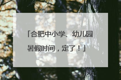 合肥中小学、幼儿园暑假时间，定了！