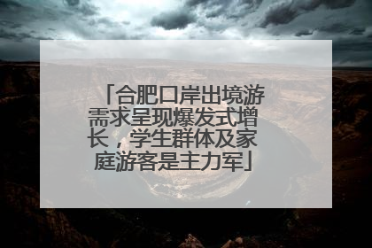 合肥口岸出境游需求呈现爆发式增长，学生群体及家庭游客是主力军