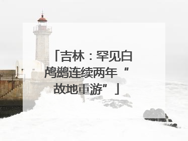 吉林：罕见白鸬鹚连续两年“故地重游”