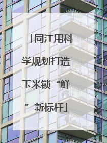 同江用科学规划打造玉米锁“鲜”新标杆