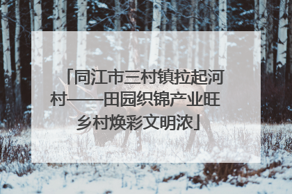 同江市三村镇拉起河村——田园织锦产业旺 乡村焕彩文明浓