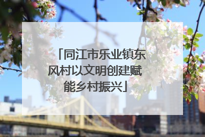 同江市乐业镇东风村以文明创建赋能乡村振兴