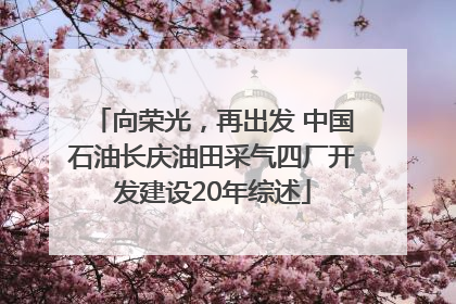 向荣光，再出发 中国石油长庆油田采气四厂开发建设20年综述