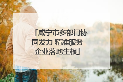 咸宁市多部门协同发力 精准服务企业落地生根