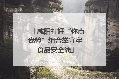 咸阳打好“你点我检”组合拳守牢食品安全线