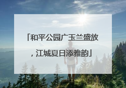 和平公园广玉兰盛放，江城夏日添雅韵