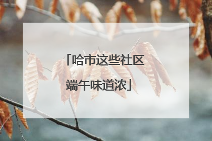 哈市这些社区端午味道浓