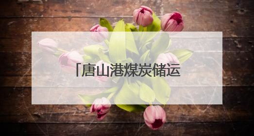 唐山港煤炭储运配套翻车机房项目开始设备安装