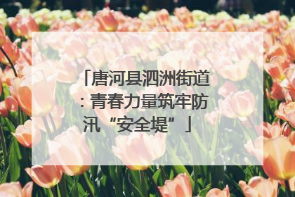 唐河县泗洲街道：青春力量筑牢防汛“安全堤”