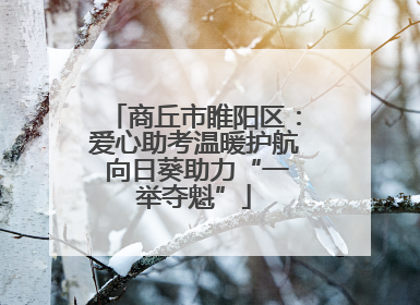 商丘市睢阳区：爱心助考温暖护航 向日葵助力“一举夺魁”