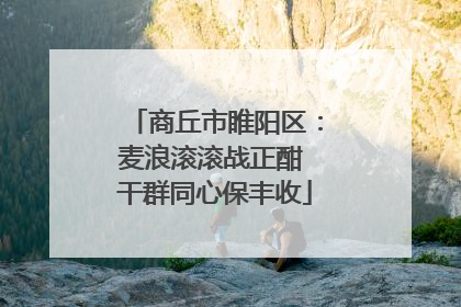 商丘市睢阳区：麦浪滚滚战正酣 干群同心保丰收