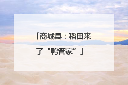 商城县：稻田来了“鸭管家”