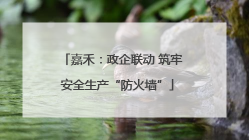 嘉禾：政企联动 筑牢安全生产“防火墙”