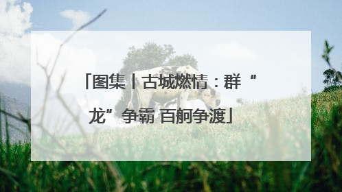 图集丨古城燃情：群“龙”争霸 百舸争渡