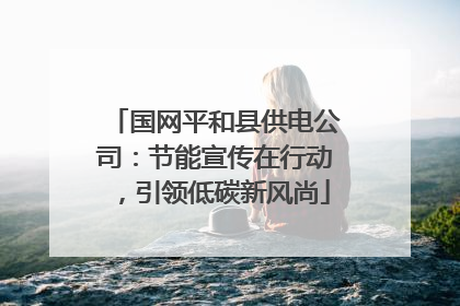 国网平和县供电公司：节能宣传在行动，引领低碳新风尚