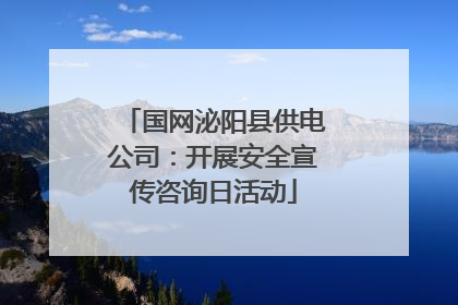 国网泌阳县供电公司：开展安全宣传咨询日活动