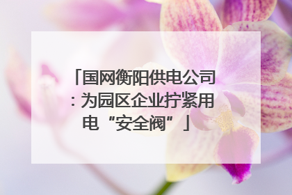 国网衡阳供电公司：为园区企业拧紧用电“安全阀”