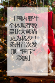 国内野生个体现存数量比大熊猫更为稀少！扬州首次发现“国宝”彩鹮