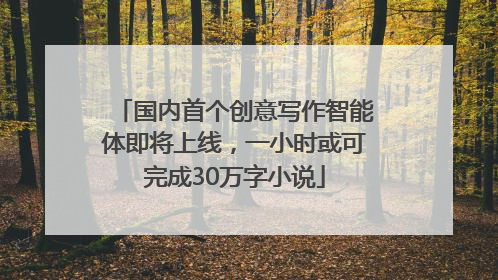 国内首个创意写作智能体即将上线，一小时或可完成30万字小说
