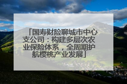 国寿财险聊城市中心支公司：构建多层次农业保险体系，全周期护航樱桃产业发展