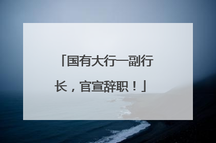 国有大行一副行长，官宣辞职！