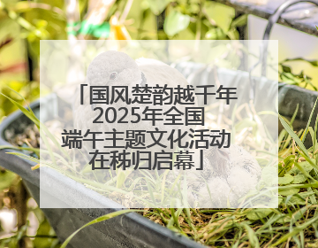 国风楚韵越千年 2025年全国端午主题文化活动在秭归启幕