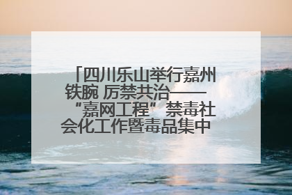 四川乐山举行嘉州铁腕 厉禁共治——“嘉网工程”禁毒社会化工作暨毒品集中销毁启动仪式