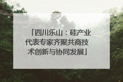 四川乐山：硅产业代表专家齐聚共商技术创新与协同发展