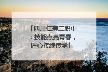 四川仁寿二职中：技能点亮青春，匠心接续传承