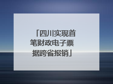 四川实现首笔财政电子票据跨省报销