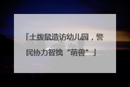 土拨鼠造访幼儿园，警民协力智擒“萌兽”