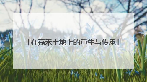 在嘉禾土地上的重生与传承
