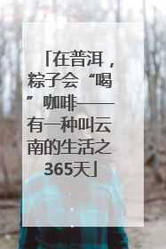 在普洱，粽子会“喝”咖啡——有一种叫云南的生活之365天