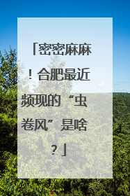 密密麻麻！合肥最近频现的“虫卷风”是啥？