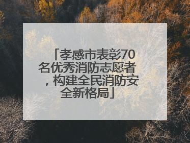 孝感市表彰70名优秀消防志愿者，构建全民消防安全新格局