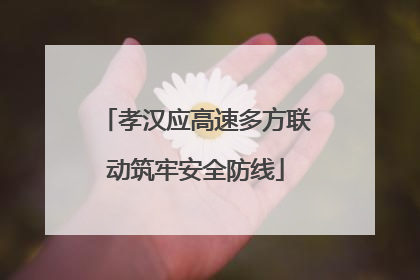 孝汉应高速多方联动筑牢安全防线