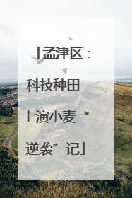 孟津区：科技种田 上演小麦“逆袭”记