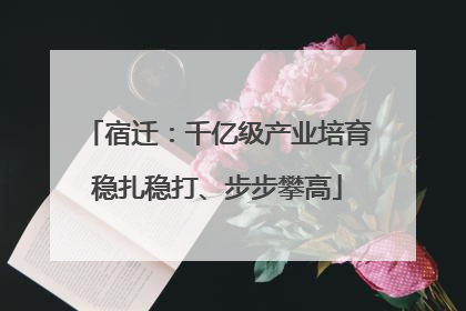 宿迁：千亿级产业培育稳扎稳打、步步攀高