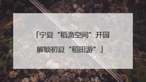 宁夏“稻渔空间”开园 解锁初夏“稻田游”
