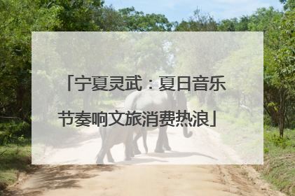 宁夏灵武：夏日音乐节奏响文旅消费热浪
