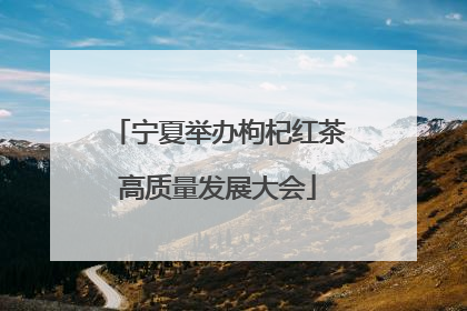 宁夏举办枸杞红茶高质量发展大会