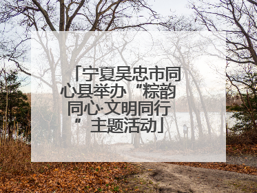 宁夏吴忠市同心县举办“粽韵同心·文明同行”主题活动