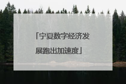 宁夏数字经济发展跑出加速度