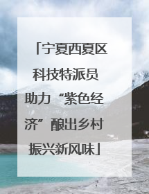 宁夏西夏区 科技特派员助力“紫色经济”酿出乡村振兴新风味